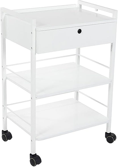 SKINACT Pro Single Drawer Cart Pro Medical Dental Mobile Utility Cabinet & Cart with Steel Frame and One Drawer