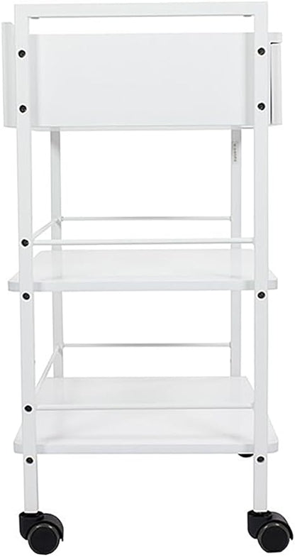 SKINACT Pro Single Drawer Cart Pro Medical Dental Mobile Utility Cabinet & Cart with Steel Frame and One Drawer