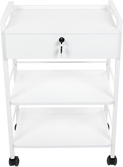 SKINACT Pro Single Drawer Cart Pro Medical Dental Mobile Utility Cabinet & Cart with Steel Frame and One Drawer