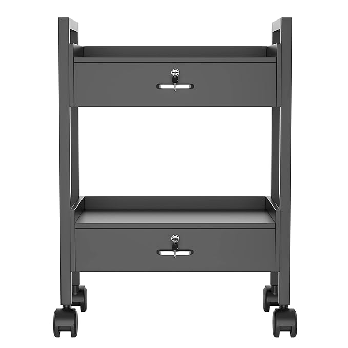 Paddie Salon Trolley Cart, Salon Tray Wooden Mobile Utility Cabinet with 2 Lockable Drawers, Rolling Storage Station Medical Esthetic Supply Holder for Beauty Spa (2 Drawers, Black)
