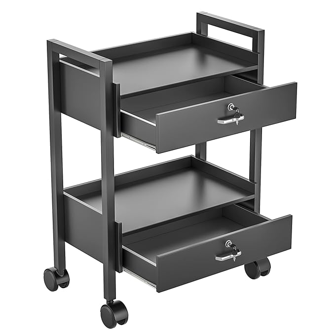 Paddie Salon Trolley Cart, Salon Tray Wooden Mobile Utility Cabinet with 2 Lockable Drawers, Rolling Storage Station Medical Esthetic Supply Holder for Beauty Spa (2 Drawers, Black)