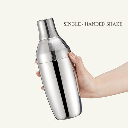 KITESSENSU Cocktail Shaker Set with Carry Case: Vacuum Insulated Martini Shaker with Built-in Strainer, 2 Martini Glasses, Measuring Jigger, Bar Mixing Spoon & Cocktail Recipes, Travel Bar Tool Set