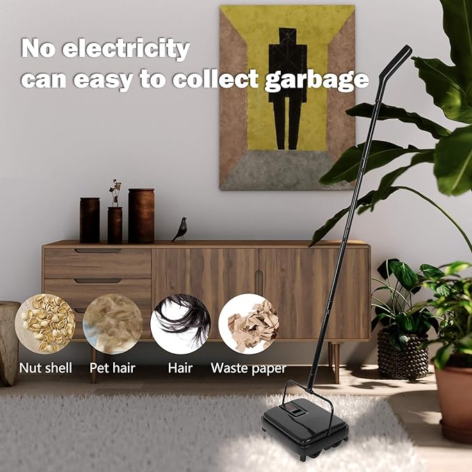 Eyliden Carpet Sweeper, Mini Size Lightweight Hand Push - No Noise, Non-Electric, Easy Manual Sweeping Only for Carpet Cleaning (Black)