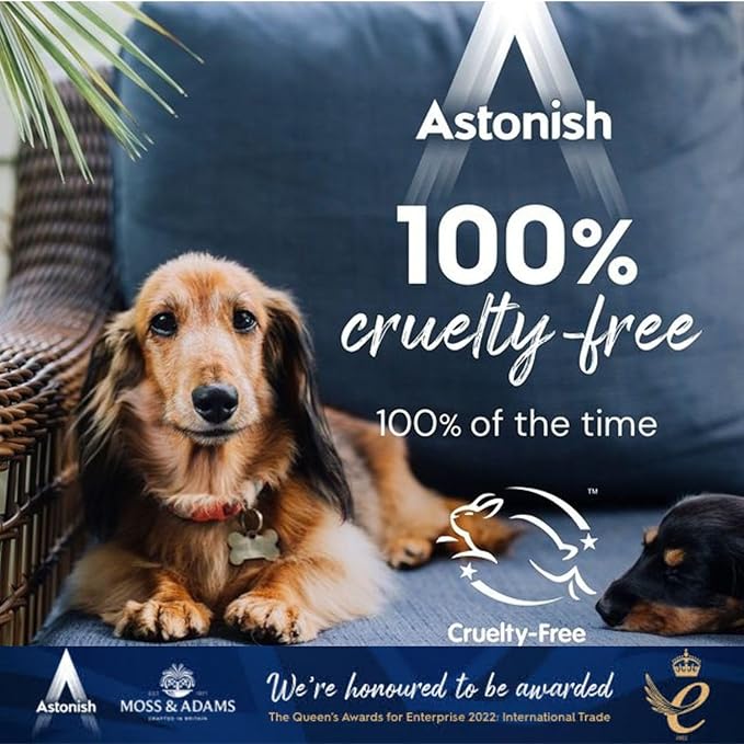 Astonish Specialist Extra Strength Grease Lifter With Baking Soda - No Scrub De-Greaser Formula For Kitchen Surfaces, Trays & Pans - Vegan Cruelty Free Household Cleaning Supplies, 750ml Bottle, 2PK