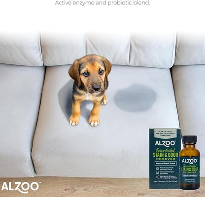 ALZOO Concentrated Stain & Odor Remover Refill Bottle, 100% Plant-Based Active Ingredients, 1.1 Fl. Oz, Pack of 3
