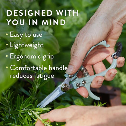 Modern Sprout Pruning Shears - Herb Snipping Scissors- Lightweight Gardening Tools W/Easy Lock - Flower Cutter Garden Shears - Carbon Steel Blade + Reusable Holster (Sage, 1-Pack)