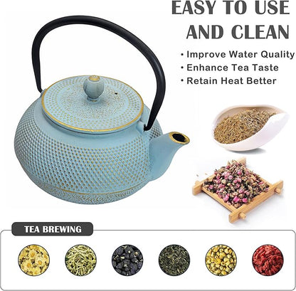 30.4oz Small Cast Iron Teapot, Tea Kettle for Stovetop Safe Coated with Enameled Interior, Japanese Tetsubin, Tea Pot with Stainless Steel Infuser for Loose Tea(900ml)