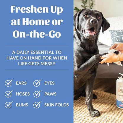SKOUT'S HONOR Pet Grooming Wipes for Dogs and Cats - Deodorizing, Plant-Based, Biodegradable, Fragrance-Free - for Paws, Faces, Skin Folds & Bums, 80 Count, 2-Pack