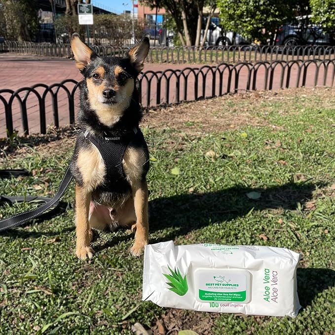 Best Pet Supplies Pet Wipes for Dogs - Dog Wipes Cleaning Deodorizing, for Coats, Ears, Paws - Hydrating, Aloe Vera