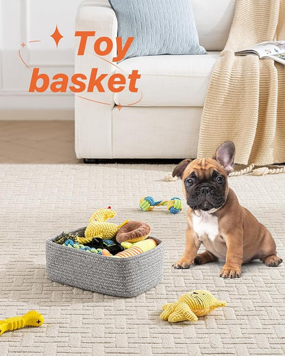 Small Woven Basket, 12 x 8 x 4.5 Inches, Storage Basket for Organizing, Cute Small Rope Shelf Closet Cube Storage Bins Baskets for Shelves, Dog Toy Gift Baskets Empty, 3 Packs, Mixed Grey
