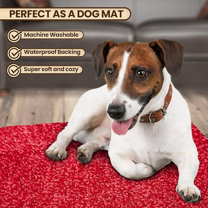 Premium Microfiber Indoor Door Mat – 36"x72" Washable Entry Mat, Non-Slip, Waterproof Backing, Super Absorbent, Low Profile Entryway Doormat for Indoor Entrance