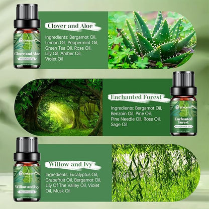Fragrance Oils Set, Essential Oils for Diffuser for Home, Candle Sopa Making - Enchanted Forest, Willow and Ivy, Clover and Aloe, Fresh Bamboo, Scented Oil Gift Set