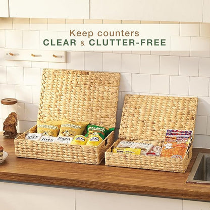 Set of 2 Wicker Baskets with Lid for Organizing - Decorative Storage Boxes With Lids for Home Decor, Shelves - Organic Modern Home Decor - Remote Box - Coffee Table Basket