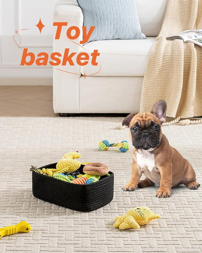 Small Woven Basket, 12 x 8 x 4.5 Inches, Storage Basket for Organizing, Cute Small Rope Shelf Closet Cube Storage Bins Baskets for Shelves, Dog Toy Gift Baskets Empty, 3 Packs, Black